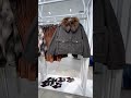 H M Neue Kollektion 2025 Für Damen Newarrivals Fashion Hm Hmnewcollection