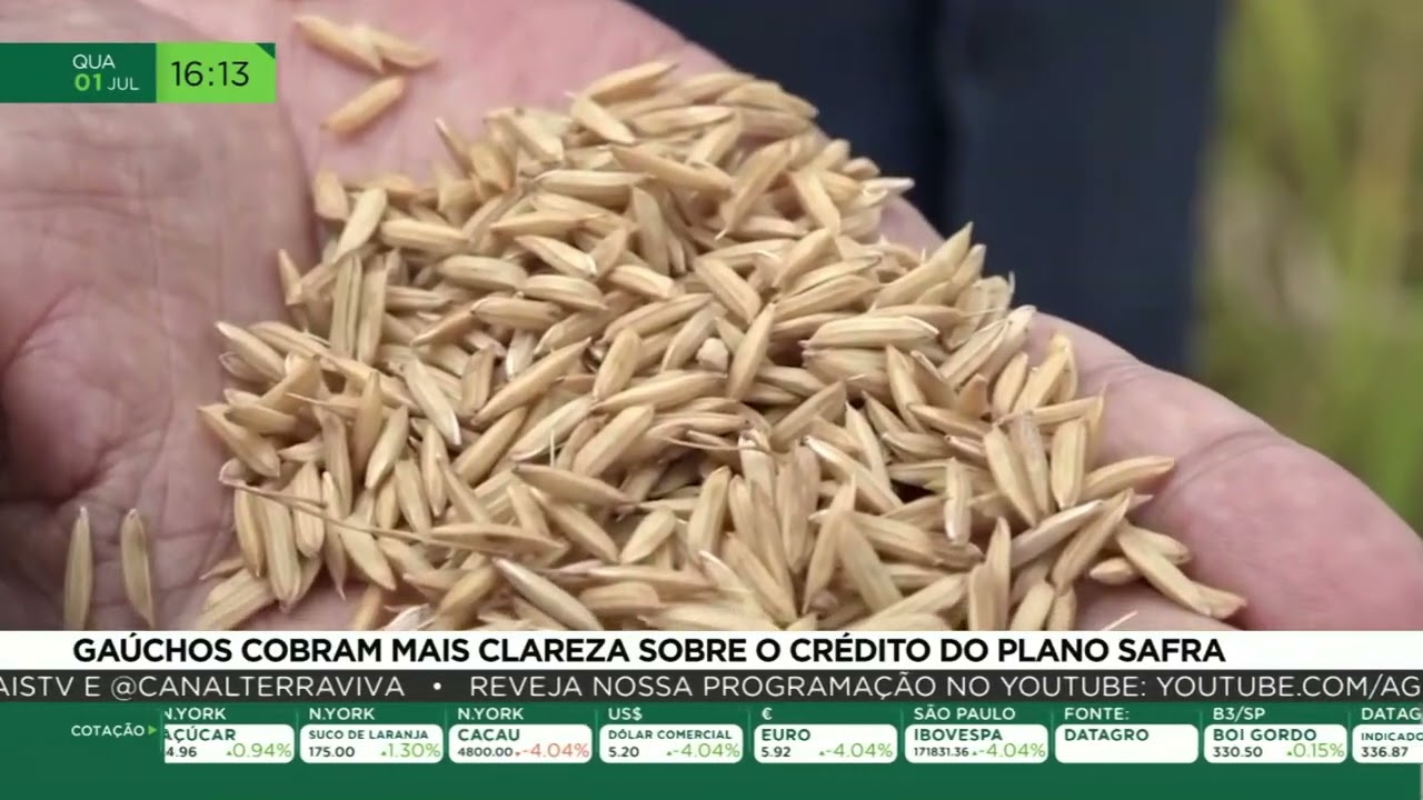 Produtores gaúchos avaliam impactos do novo Plano Safra
