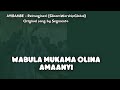 Segmento Ayibambe AI Reimagined Remix