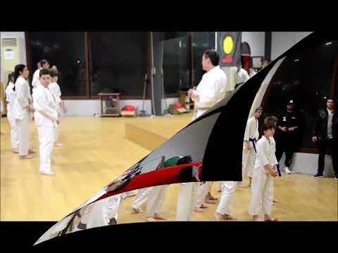 JKS GREECE N0 5  GOOD AND CORRECT HIP USE IN KICKS