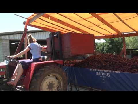 Sucessão rural, uma tradição familiar