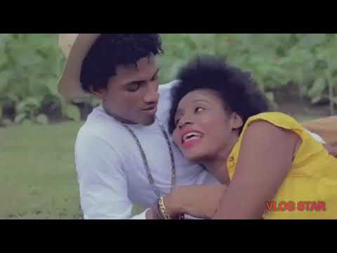 Bò kote w (Stelove x Wellborn) Official video