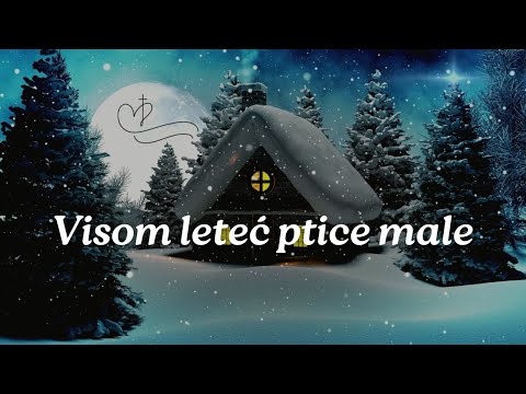 Visom leteć ptice male