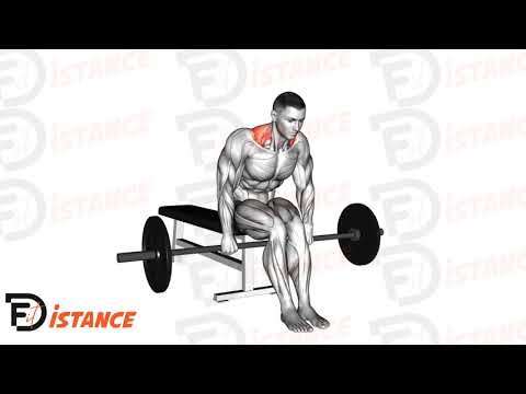 Exercice Shrugs à la barre assis sur un banc