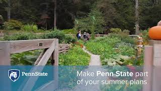 Penn State Summer 2024