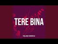 Tere Bina
