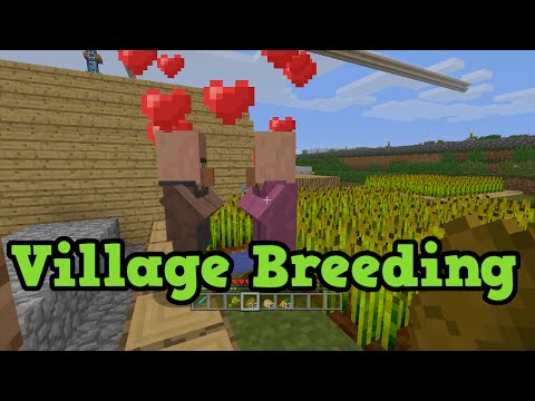 Minecraft Xbox 360 / PS3 - TU31 NPC Villager Breeding Tutorial