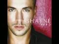 Shane Ward If Thats Ok With You Flv