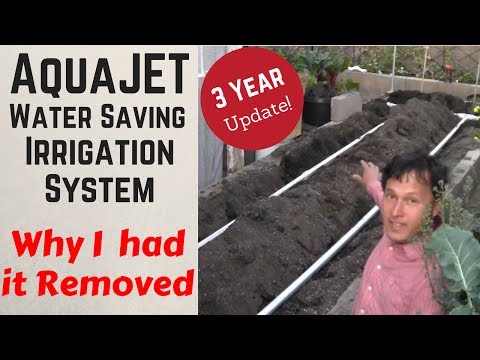 Drip irrigation advantages and disadvantages picture