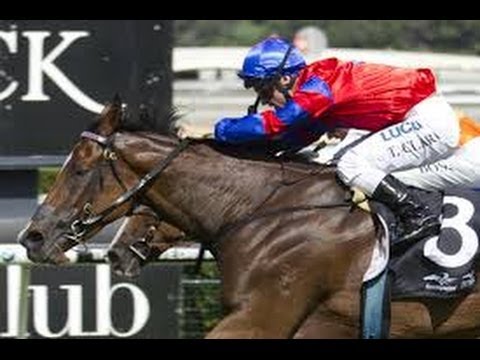 2014 ATC Queen Of The Turf Stakes