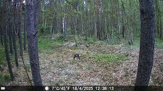 Mein Pirschbezirk und Wildkamera