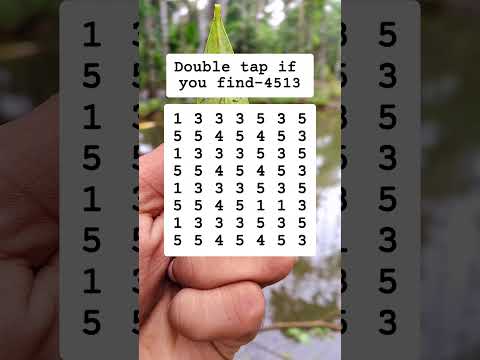 Doppeltippen, wenn Sie 4513 finden #Suche #Puzzle #Shorts