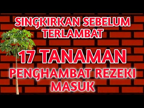 , title : '17 Tanaman Penghambat Rezeki Menurut Primbon Jawa'