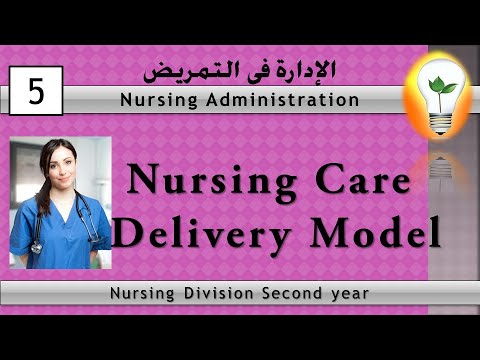 nursing care delivery model nursing administration 2nd year