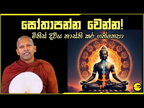 සෝවාන් වෙන්න.ජීවිතය අනතුරේ දාගන්න එපා | sowan wenna |dharmayai obai | hadapangoda niwathapa thero