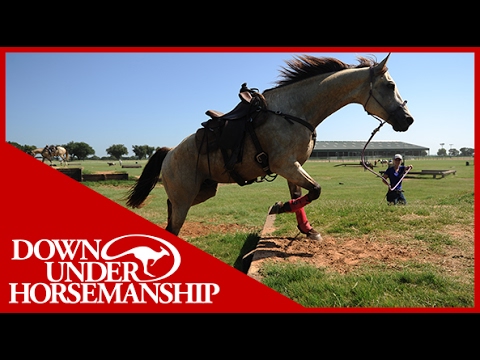 Clinton Anderson: A Day in the Life of an Ambassador Student, Part 2 - Downunder Horsemanship