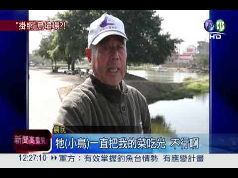 鳥屍掛田護農作 金管處勸拆除