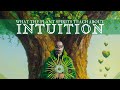 cultivating deep intuition with plant spirit work