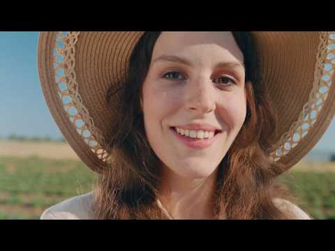 Melis Corporate Film English