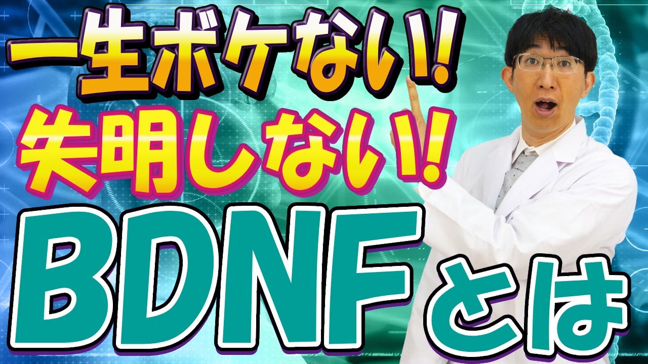 一生認知機能を保つ BDNF という脳の栄養素の秘密