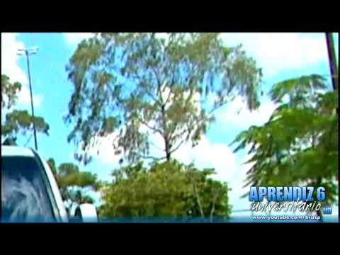 APRENDIZ 6 - 05º Episódio (( 1º de 5 )) - HD WIDE.23/04/09