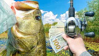 Fishing A Big SUMMER Bass Tournament - Can We Win?