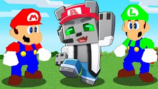 Me Paso Minecraft Pero Como SUPER MARIO 64 (Real)