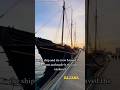 Historical facts about almost 100 years old Kajama ship ￼#oldship #historicalfacts #schooner #kajama