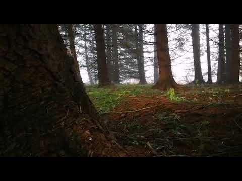 Krampusteaser Moosteufeln