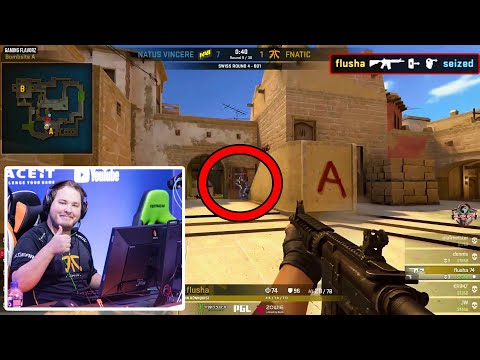 CS:GO Hall Of Fame : flusha