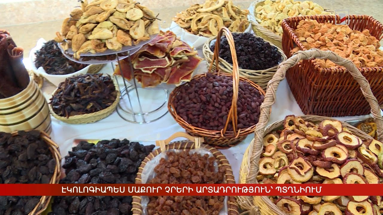 Էկոլոգիապես մաքուր չրերի արտադրություն՝ Պտղնիում