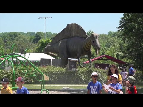 Field Station Dinosaurs