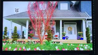 Tulips in Spring video