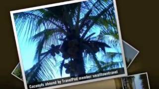 preview picture of video 'Arrived in Troncones Smalltowntravel's photos around Troncones, Mexico (casa firefly troncones)'