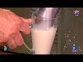 Así Se Hace La Horchata En Alboraya Valencia Rincones De España España Directo