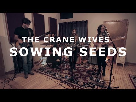 The Crane Wives - Sowing Seeds | NPR Tiny Desk Contest 2019