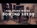 The Crane Wives Sowing Seeds NPR Tiny Desk Contest 2019
