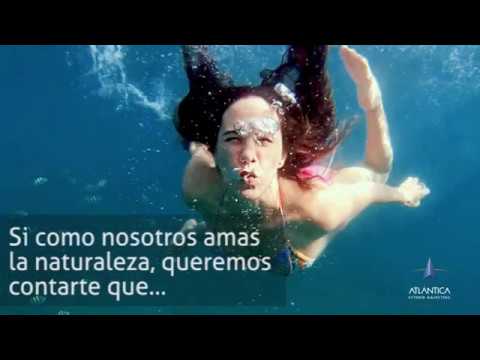 Te invitamos a crear conciencia
