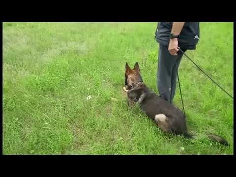 Karo z udoli upy - tracking 2020