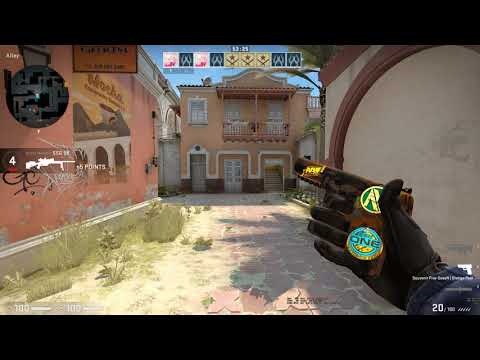 Twistzz Viewmodel 2021