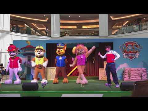 Paw Patrol Show - Live Real Mascot Video Episode