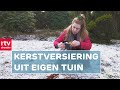 Groene kerstsfeer uit de Drentse natuur | ROEG! | RTV Drenthe