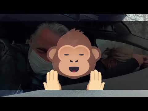 Fahrschule Innenspiegel Aussenspiegel Blinker Schulterblick