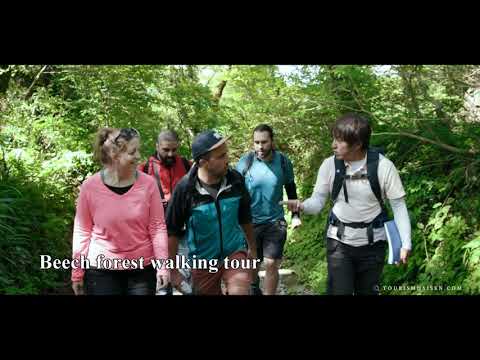 『Be Smiling, San'in』～Travel like a local～ Nature Lover‘ｓ Paradise、Mt. Daisen, Tottori