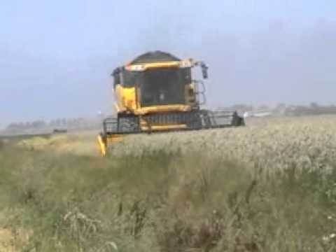 Soete P.: Maaidorsen.