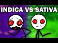 INDICA VS SATIVA