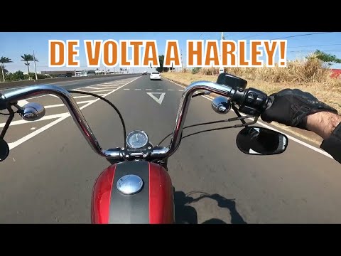 RONCO DE LIBERDADE: PEGUEI UMA HARLEY DAVIDSON 1200 ROADSTER