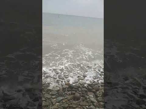 ۲۶ مارس ۲۰۲۵