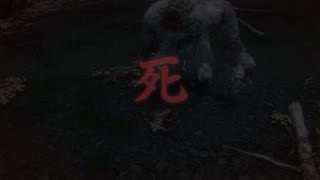 SEKIRO™： SHADOWS DIE TWICE_初期値　練習してる風景　手探り～