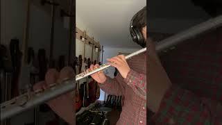 Video thumbnail for Flauta traversa Yamaha YFL-225S by Instrumentos Chile